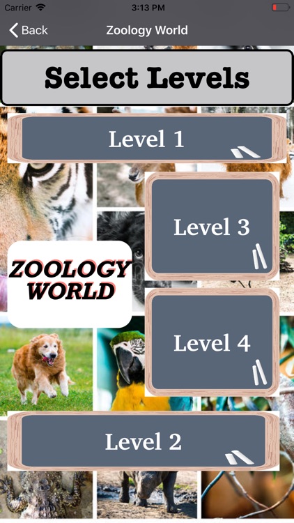 Zoology World!!!