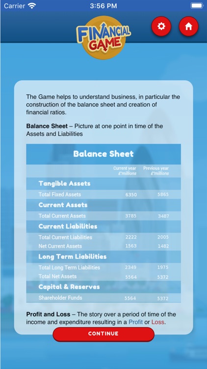 Financial Statements & Ratios