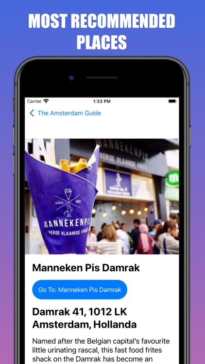 The Amsterdam Travel Guide