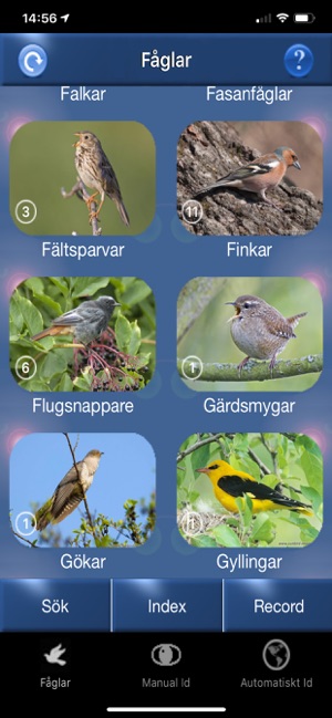 Fågelsång Id - fåglar(圖2)-速報App