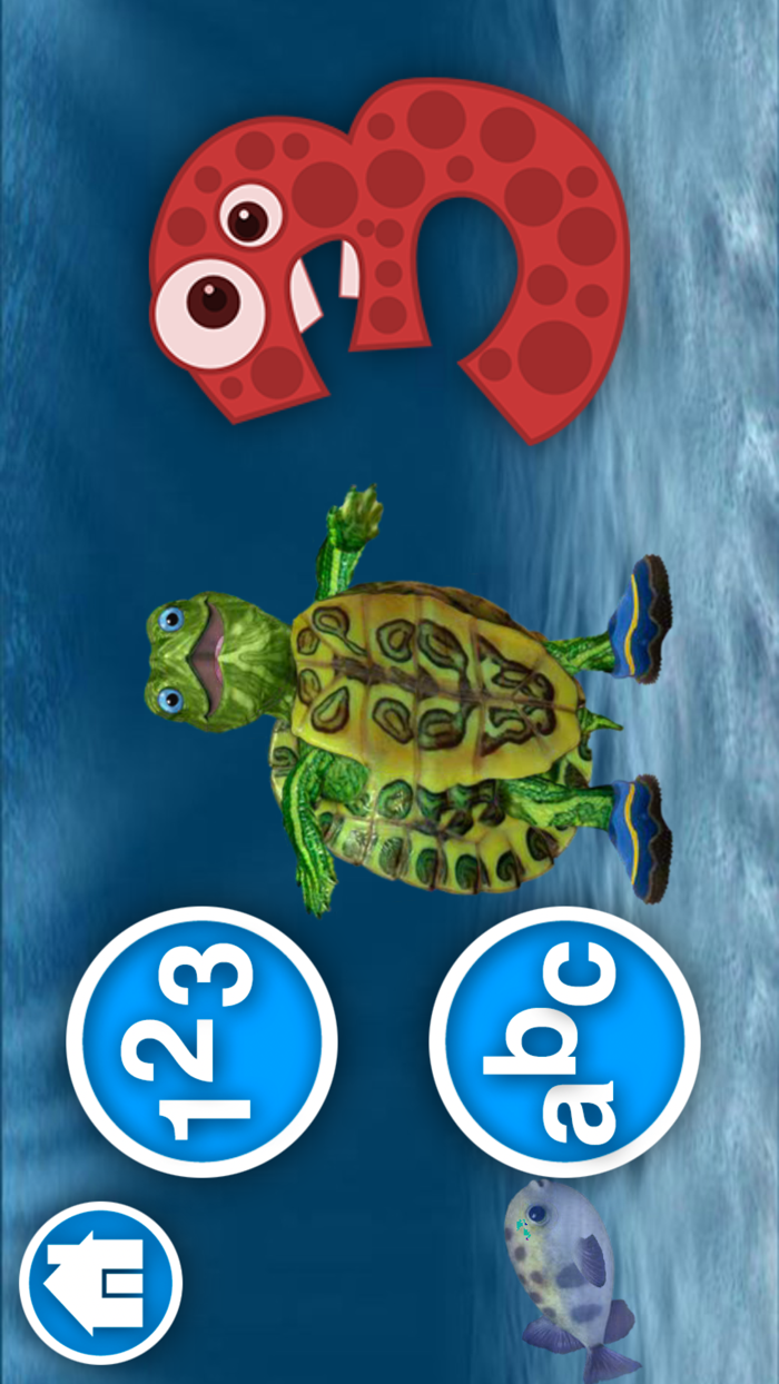 Talking Turtle · Learn playing