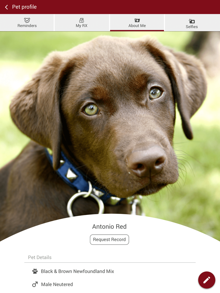 Lake City Animal Hospital FL