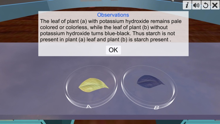 Carbon dioxide Photosynthesis screenshot-6