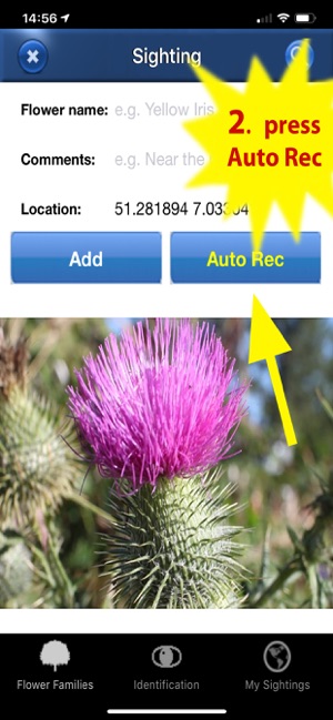 Wildflower Id USA Photo Recog.(圖3)-速報App