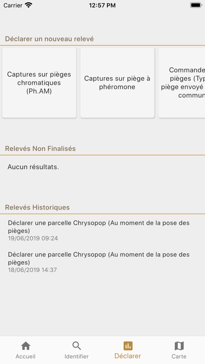 Chrysopop screenshot-4