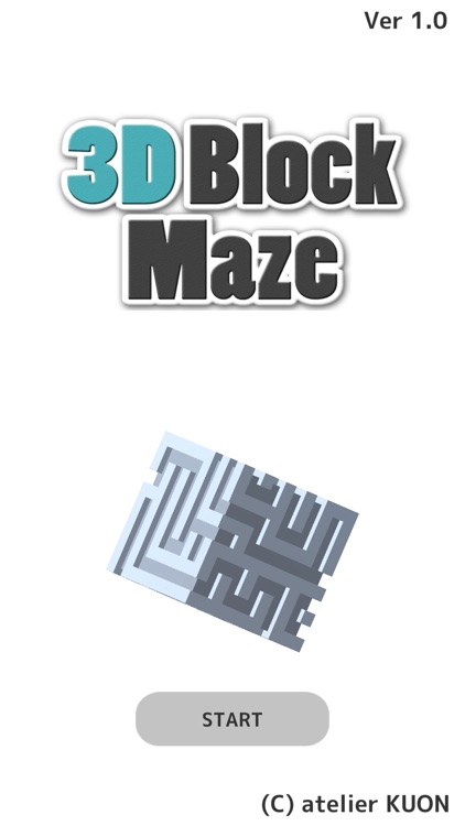 3D Block Maze screenshot-4