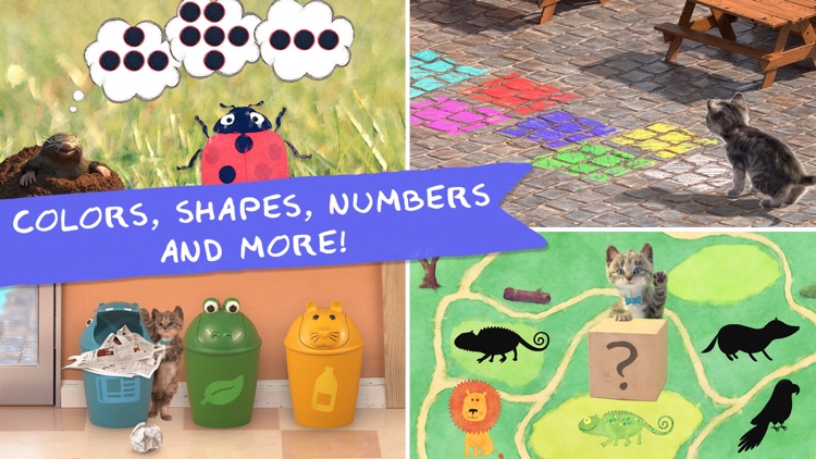 Little Kitten & Friends 4+ screenshot-3