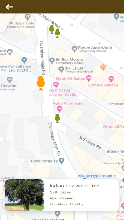 Bangalore Tree Census