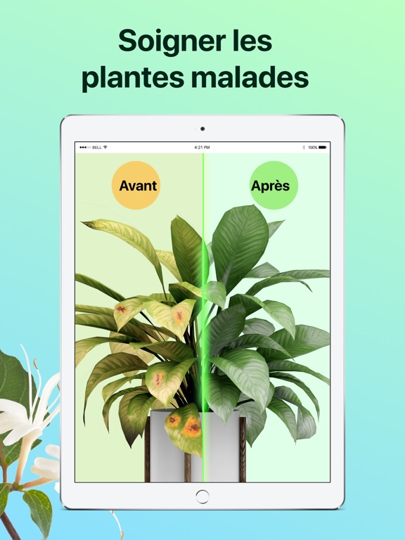 PictureThis:Identifier Plantes