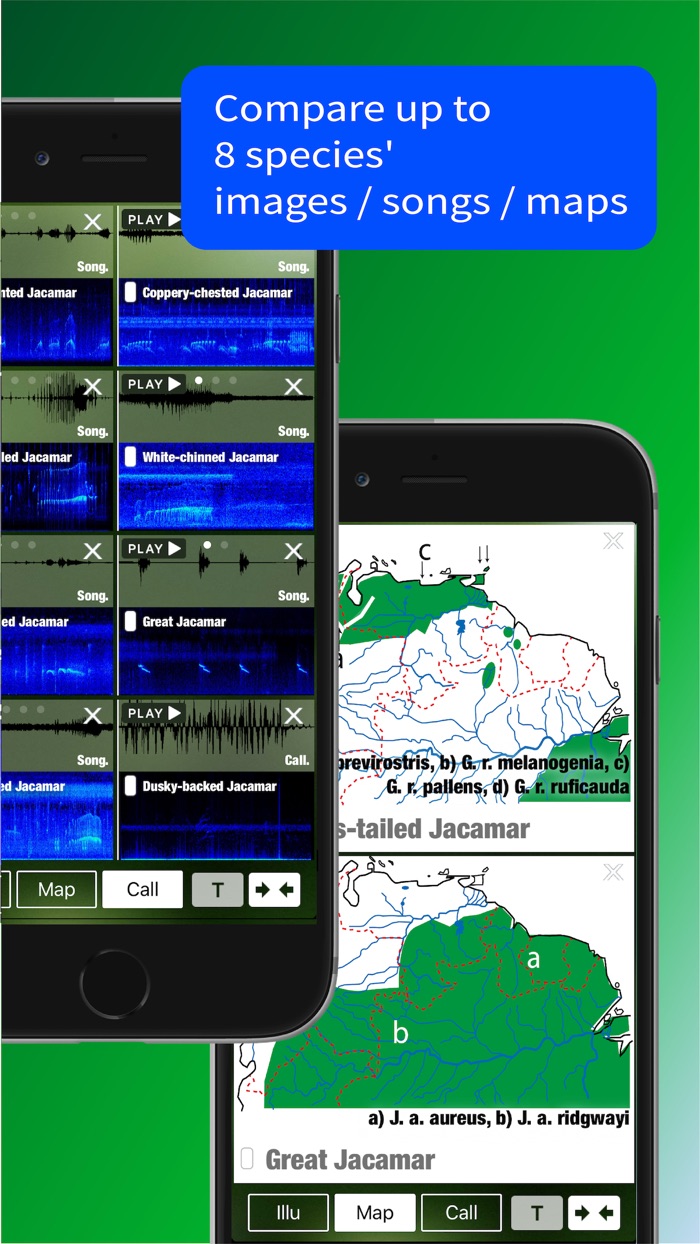 All Birds North. South America
