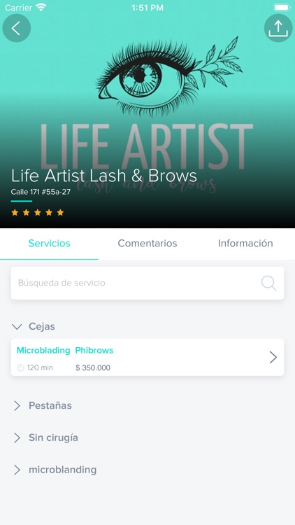 Life Artist Lash & Brows