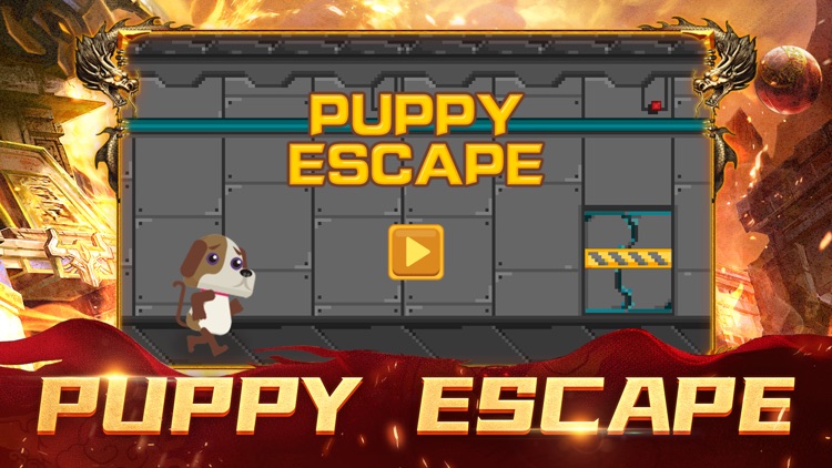 Puppy escape