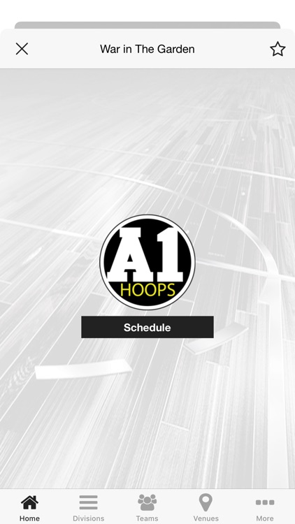 A1 Hoops Basketball