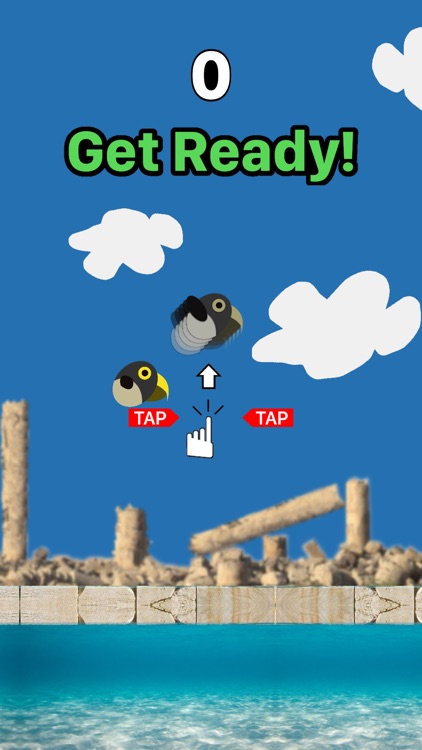 FlappyCondor