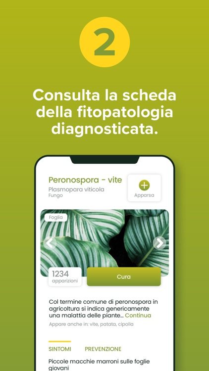 DrWapi: Agronomo digitale screenshot-3