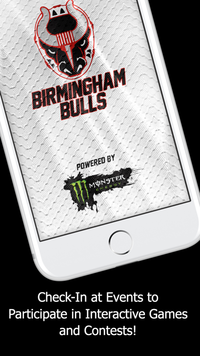 Birmingham Bulls screenshot 3