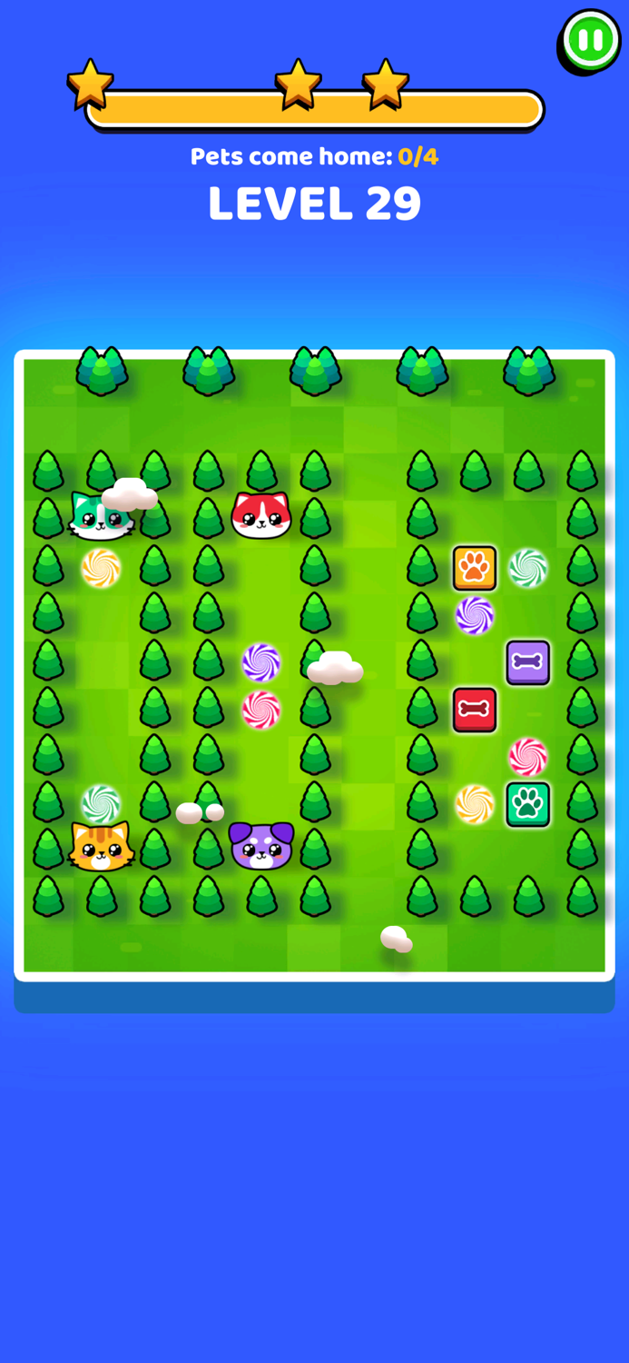 Pets Escape Dogs  Cats