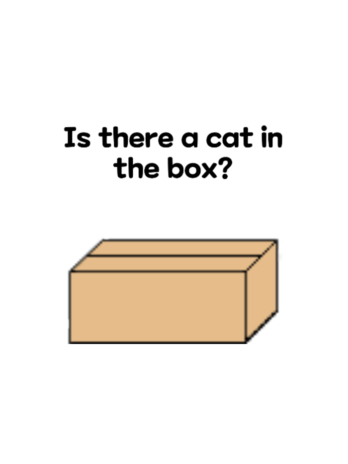 Meow Box Cat in the Box