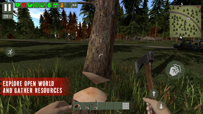 The Survivor: Rusty Forest screenshot 2