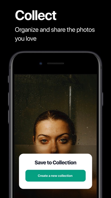 Pexels screenshot-4