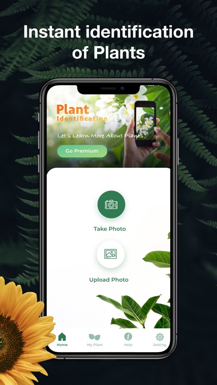 LeafSnap-Plant Identification