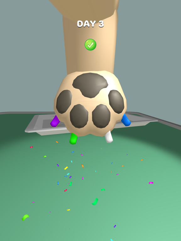 iPad Image of Paw Care!