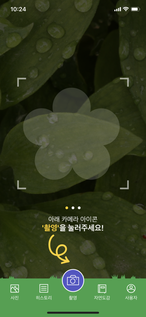 Naturei 나무/식물/곤충 인식(圖2)-速報App