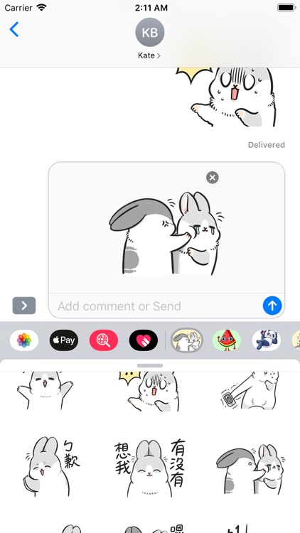 Machiko Rabbit Pack# 4