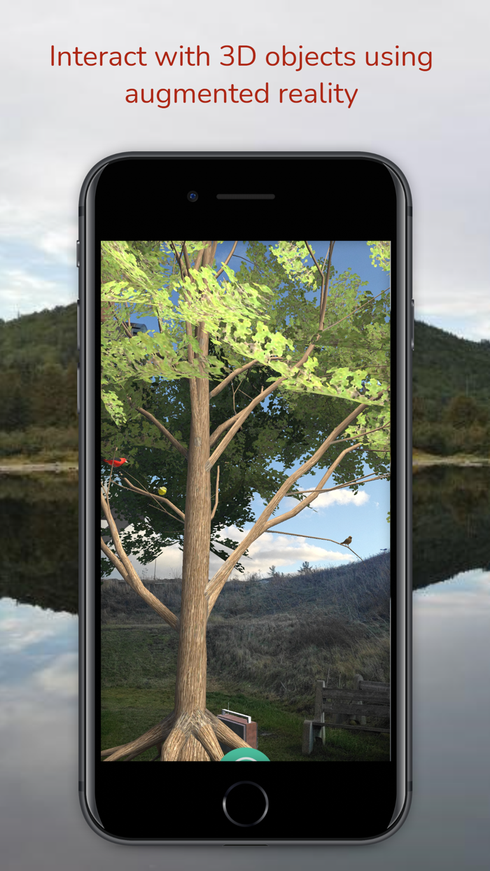 Adventure at Mt. Carleton