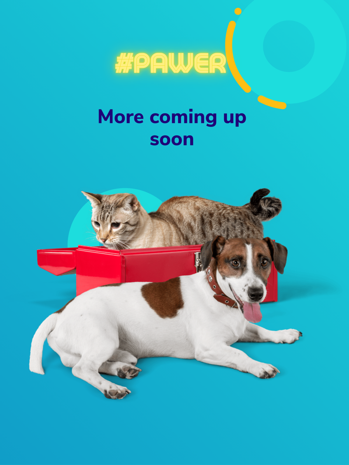 Petotum - For Pet Parent