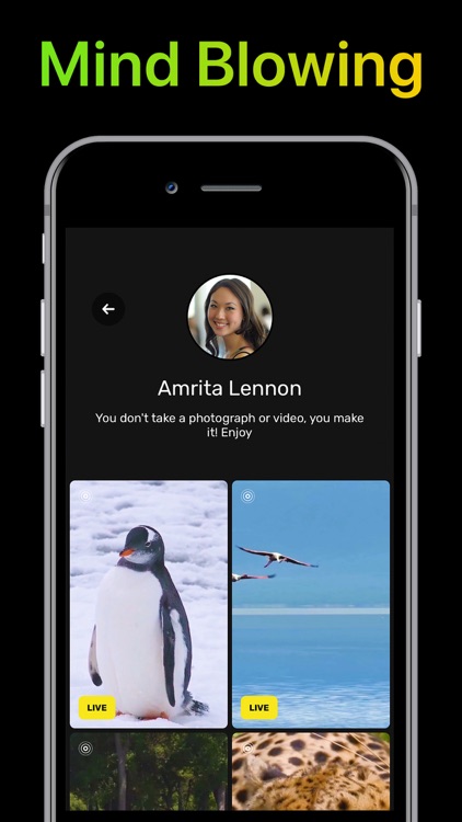 Live Wallpaper & Wallpapers HD screenshot-5