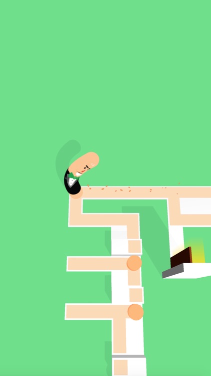 Wiggle Slide 3D screenshot-3