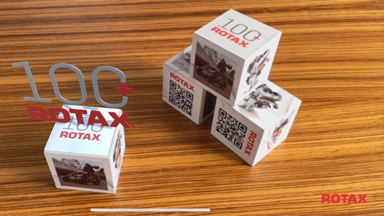Rotax 100+