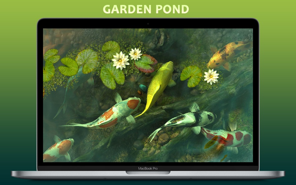 Koi Pond 3D - 2.0.4 - (macOS)