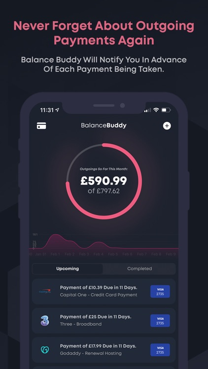 BalanceBuddy