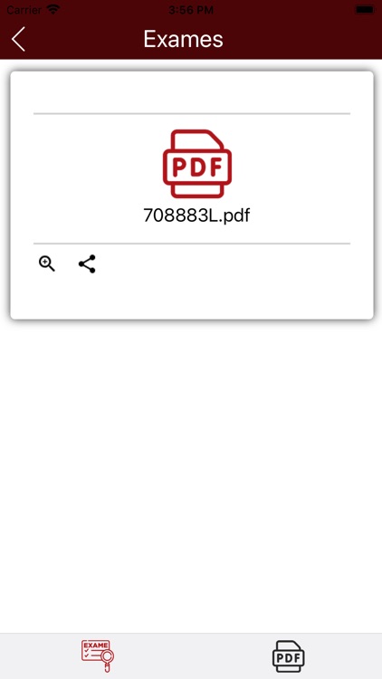 Perboyre Castelo App screenshot-4