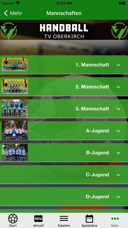 TV Oberkirch Handball screenshot-5