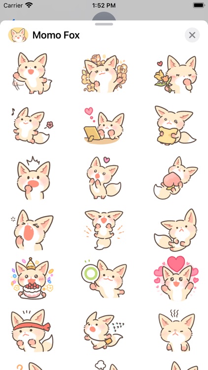 Momo Fox
