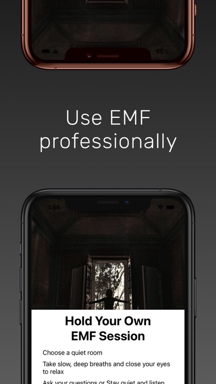 Ghost Box - EMF Detector screenshot-3