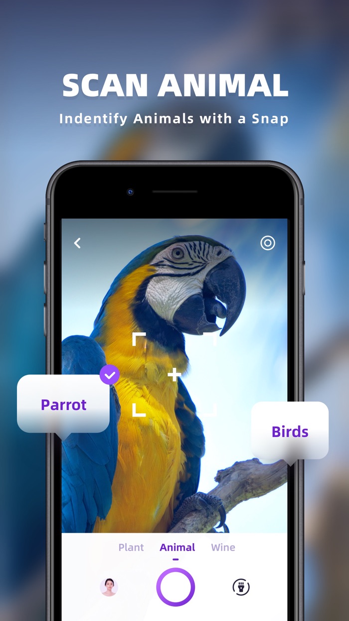 Magical Scanner- Face  PDF