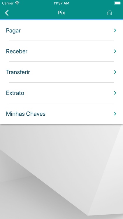 OpaPay screenshot-3