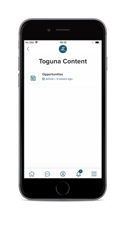 TogunaAfrica screenshot-4