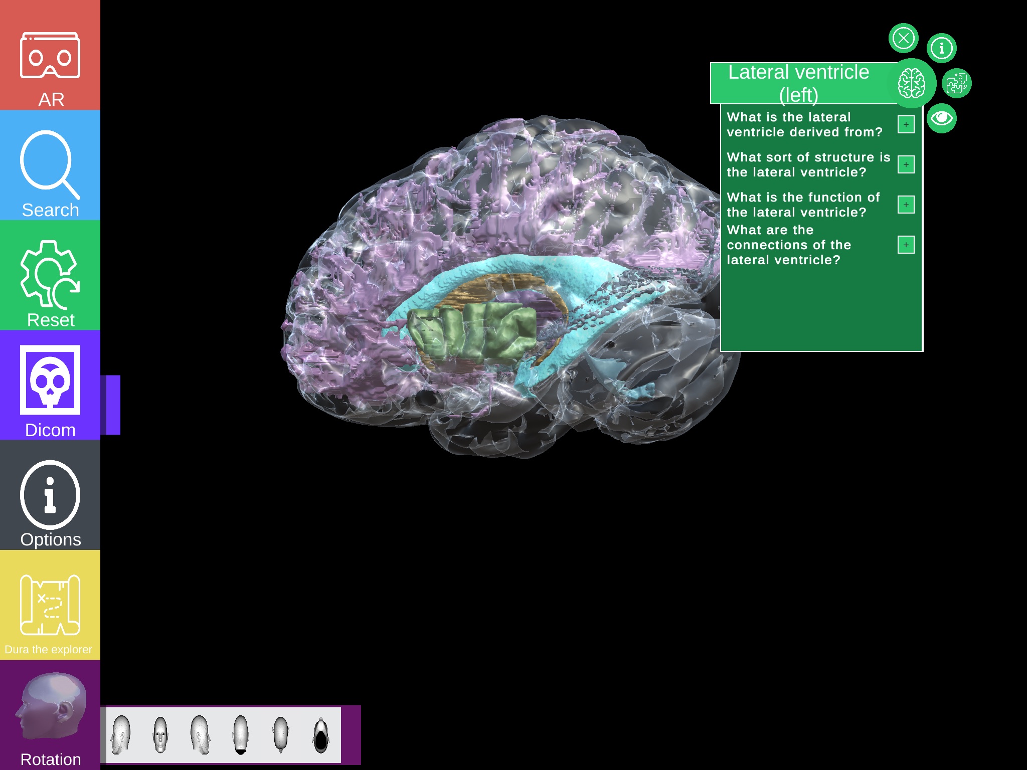 GreyMapp: Brain screenshot 2