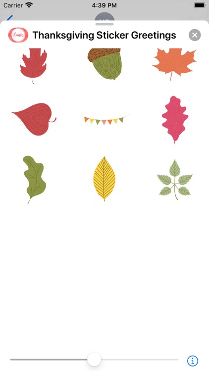 Thanksgiving Sticker Greetings screenshot-6