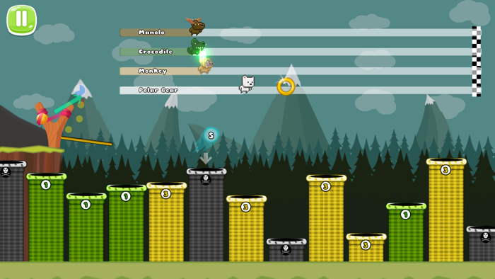 Animal Racing - 4 Players