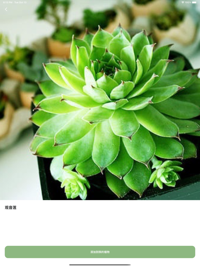 植物识别 - 拍照识别植物