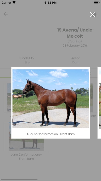Equus Connect screenshot-4