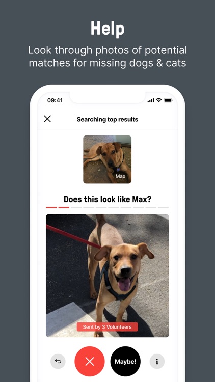 Shadow: Find a Lost Dog or Cat