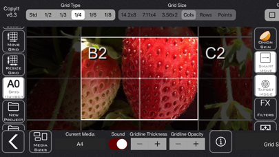 How to cancel & delete CopyIt The Grid Drawing Method from iphone & ipad 1