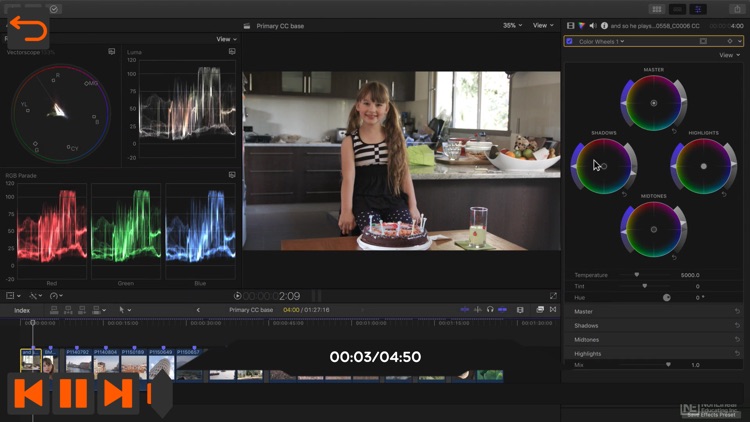 Intro to Color Correction screenshot-3
